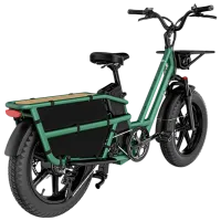 Bicicletă electrică FIIDO T2 20" / Green photo 3