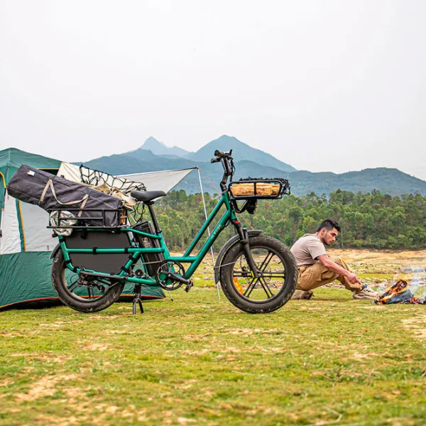 Электровелосипед FIIDO T2 20"  / Зеленый photo 7 Электровелосипед FIIDO T2 20"  / Зеленый photo 7