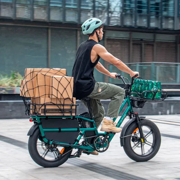 Электровелосипед FIIDO T2 20"  / Зеленый photo 10 Электровелосипед FIIDO T2 20"  / Зеленый photo 10