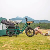 Bicicletă electrică FIIDO T2 20" / Gray photo 5
