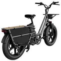 Bicicletă electrică FIIDO T2 20" / Gray photo 8