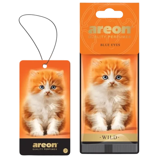 Ароматизатор для авто Areon Wild Голубые глаза / / на зеркале photo 1