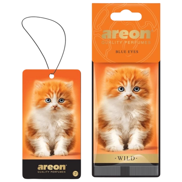 Ароматизатор для авто Areon Wild Голубые глаза / / на зеркале photo 1