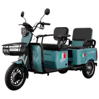 Трицикл электро NEW ONE FUXING Разноцветный / 50 км