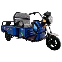 Tricicletă electrică NEW ONE C17 Multicolor / 50 km