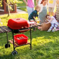 Мангал BBQ 0155 Брикеты, уголь / Портативный photo 6