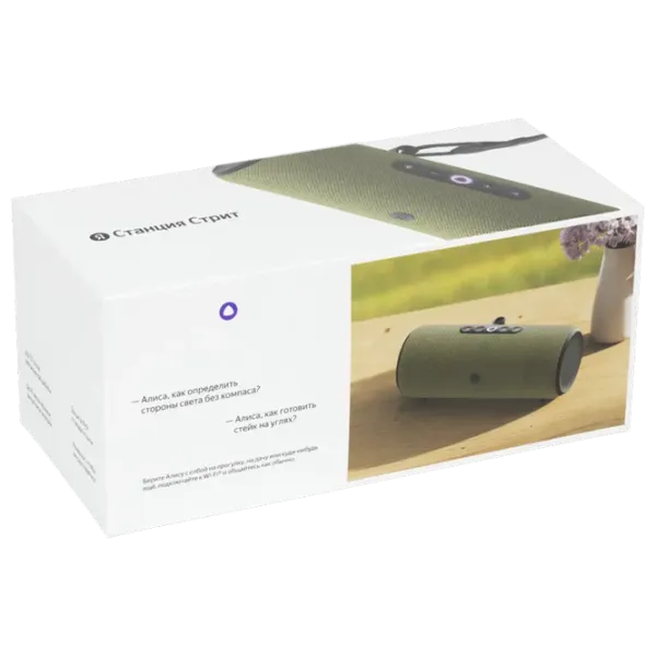 Boxă portabilă Yandex Street 30 W/ Green photo 9 Boxă portabilă Yandex Street 30 W/ Green photo 9