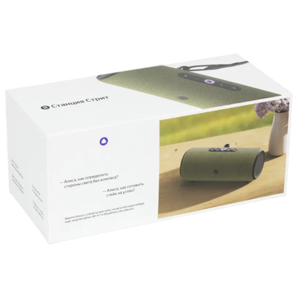 Boxă portabilă Yandex Street 30 W/ Green photo 9 Boxă portabilă Yandex Street 30 W/ Green photo 9