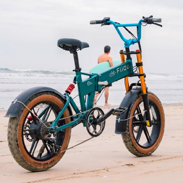 Bicicletă electrică FIIDO M1 Pro 20"  / Blue photo 6 Bicicletă electrică FIIDO M1 Pro 20"  / Blue photo 6