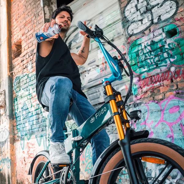 Bicicletă electrică FIIDO M1 Pro 20"  / Blue photo 7 Bicicletă electrică FIIDO M1 Pro 20"  / Blue photo 7