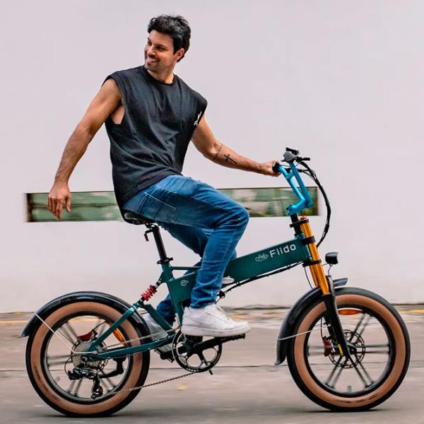 Bicicletă electrică FIIDO M1 Pro 20"  / Blue photo 9 Bicicletă electrică FIIDO M1 Pro 20"  / Blue photo 9