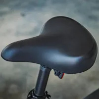 Bicicletă electrică FIIDO M1 Pro 20" / Blue photo 11