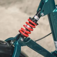 Bicicletă electrică FIIDO M1 Pro 20" / Blue photo 13