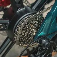 Bicicletă electrică FIIDO M1 Pro 20" / Blue photo 14