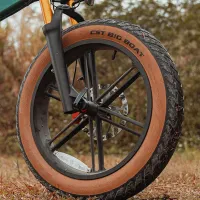 Bicicletă electrică FIIDO M1 Pro 20" / Blue photo 15