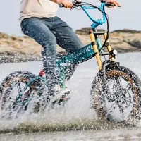 Bicicletă electrică FIIDO M1 Pro 20" / Blue photo 17