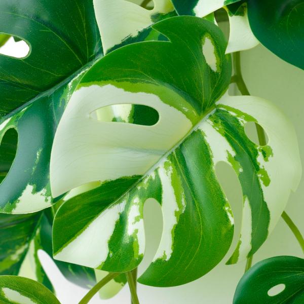 Искусственное растение Ikea Fejka Разноцветный / Высота (см) -  photo 4 Искусственное растение Ikea Fejka Разноцветный / Высота (см) -  photo 4