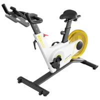 Bicicleta Spinning Kingsmith PB08S / 100 kg / Yellow photo 3