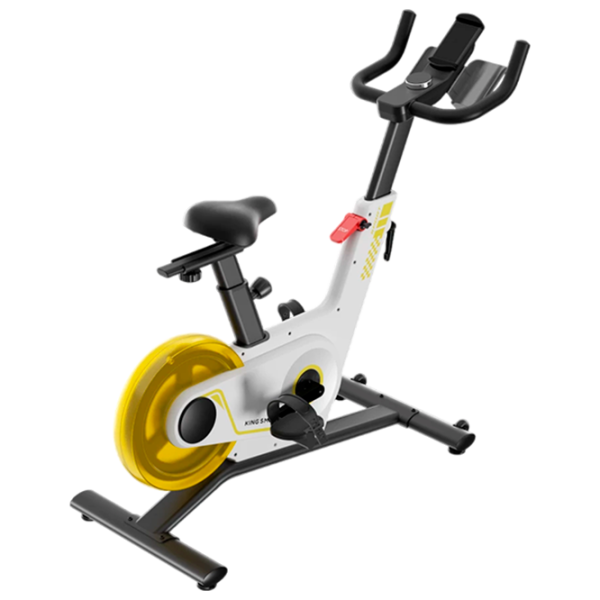 Bicicleta Spinning Kingsmith PB08S / 100 kg / Yellow photo 4