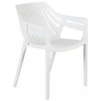 Scaun de grădină Heniver Hilton Plastic / Plastic / White White photo 4