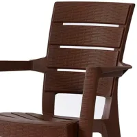 Scaun de grădină Heniver Ayder Plastic / Plastic / Brown Brown photo 4