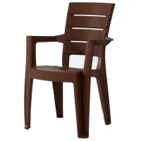 Scaun de grădină Heniver Ayder Plastic / Plastic / Brown Brown photo 5