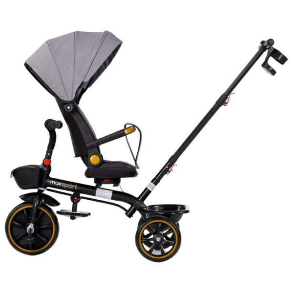 Triciclu Chipolino Max Sport 25 kg / Gray photo 3 Triciclu Chipolino Max Sport 25 kg / Gray photo 3