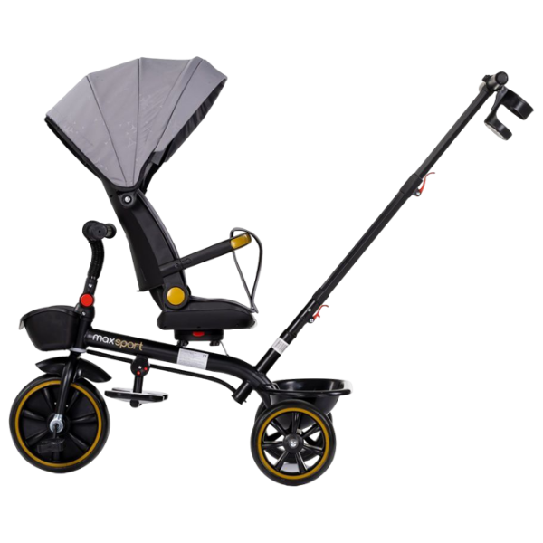 Triciclu Chipolino Max Sport 25 kg / Gray photo 3 Triciclu Chipolino Max Sport 25 kg / Gray photo 3