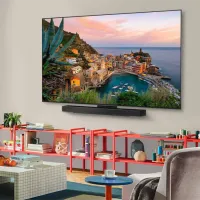 Televizor LG OLED65C54LA 65" / OLED / 4K / Smart TV / Black photo 2