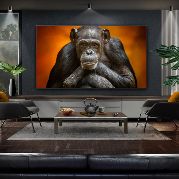 Телевизор LG OLED55C54LA 55" / OLED / 4K / Smart TV / Черный photo 2