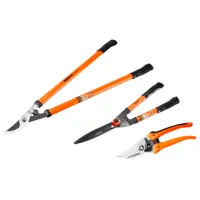 Set de foarfeci de grădină Wokin 1265486 Oțel