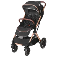 Детская коляска Lorelli Stroller Storm 10021692384/ Черный