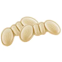 Protecții călcâi Insportline 143-120 Beige / Poliester / Adult