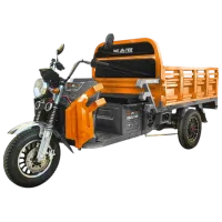 Tricicletă electrică Weter 1500 GR Orange / 50 km