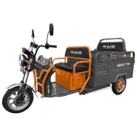 Tricicletă electrică Weter 1200 TR Orange / 50 km