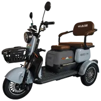 Tricicletă electrică Weter 1000 IN Gray / 50 km