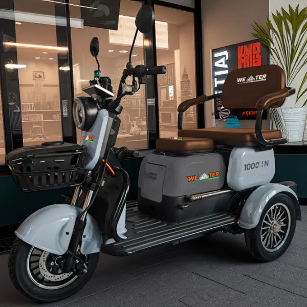 Трицикл электро Weter 1000 IN Серый / 50 км photo 2 Трицикл электро Weter 1000 IN Серый / 50 км photo 2