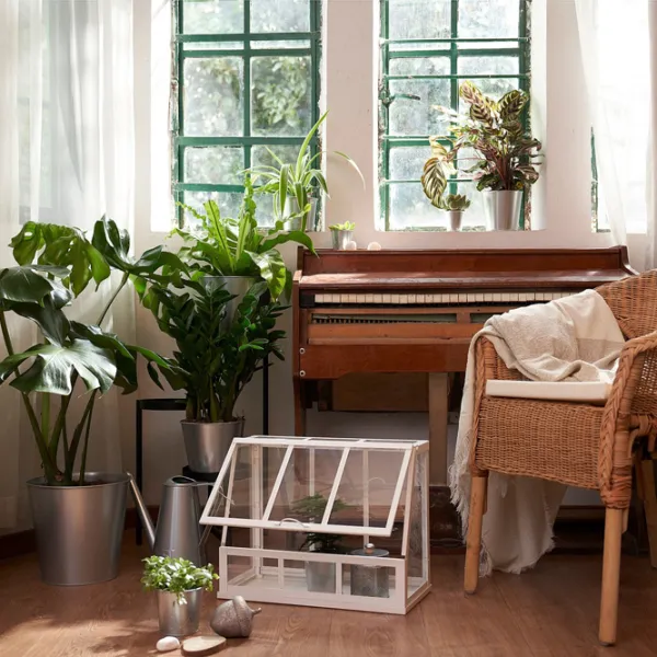 Теплица Ikea Akerbar  /  photo 4