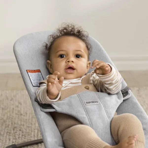 Балансир BabyBjorn Bliss Light Gray 0 месяцев - 2 года / Светло Серый photo 3 Балансир BabyBjorn Bliss Light Gray 0 месяцев - 2 года / Светло Серый photo 3