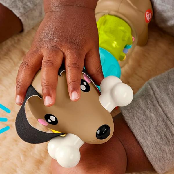 Интерактивная игрушка Fisher Price Animals HTW91  0.5+ / Коричневый photo 4
