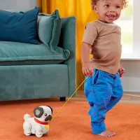 Jucărie de împins și tras Fisher Price Animals HTW94 1+ / White photo 4