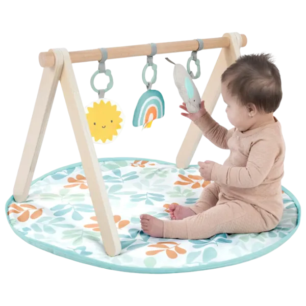 Covoraş pentru joc Bright Starts Ingenuity Ity Sun Valley (13122) 0+/ Rotund/ Blue photo 4