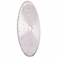 Disc circular Globus 312G030017 photo 2