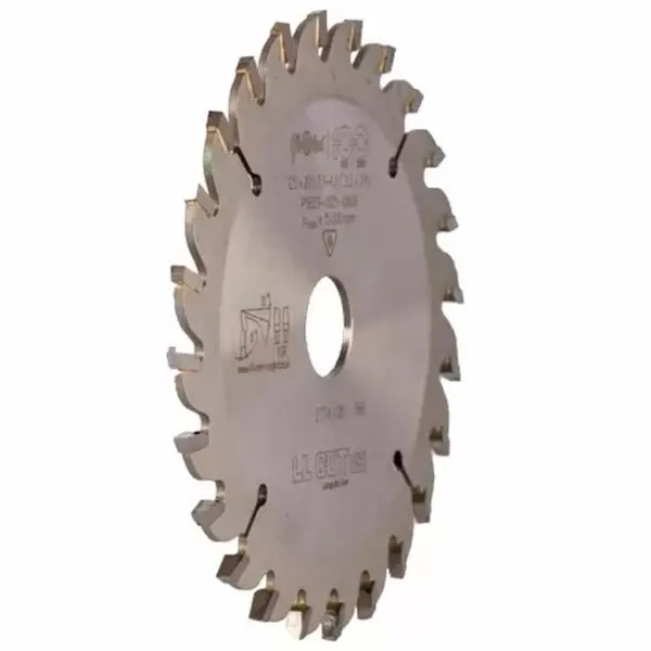 Disc circular Globus LL CUT VH  photo 2