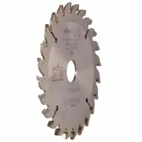 Disc circular Globus LL CUT VH photo 2