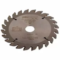 Disc circular Globus LL CUT VH photo 3