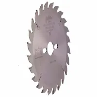Disc circular Globus 210G020001 photo 2
