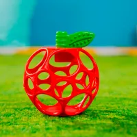 Игрушка для прорезывания зубов Bright Starts Marul Oball от 0 месяцев photo 4