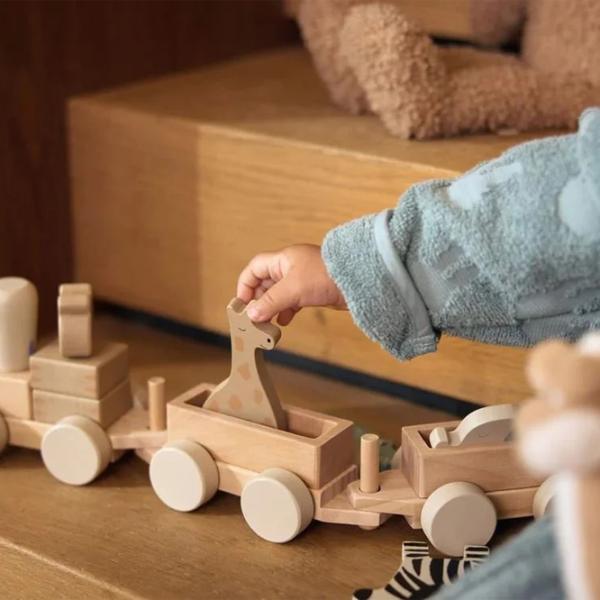 Joc educativ Jollein Toy Train Jungle Jambo 2+/ Dezvoltare photo 3