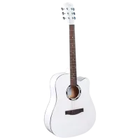 Акустическая гитара Enjoy E41-DDL WH 4/4, Dreadnought, Белый photo 2